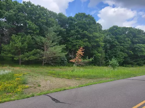 Nnnn Angelina Drive, Little Falls Twp, MN 56345