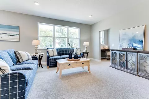 13143 Arbor Path, Rosemount, MN 55068 photo 16