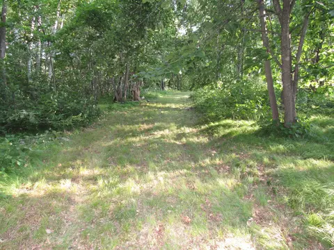 Tbd Clough Road, Pine River, MN 56474 photo 3