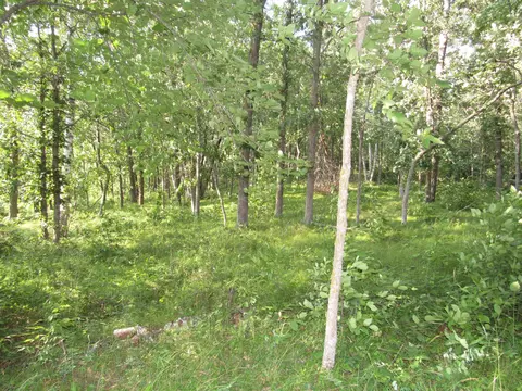 Tbd Clough Road, Pine River, MN 56474 photo 5