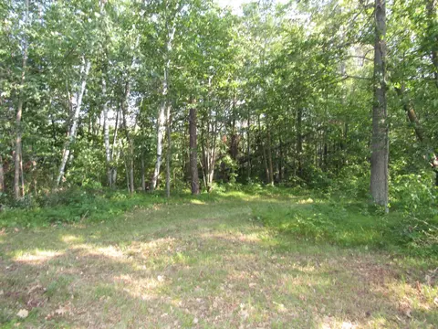 Tbd Clough Road, Pine River, MN 56474 photo 4