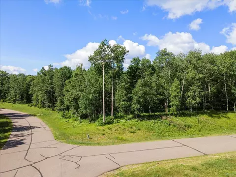 Tbd Wild Wings Way, Nisswa, MN 56468