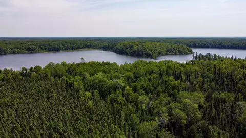 55716 Buckman Lake Road, Balsam Twp, MN 55716