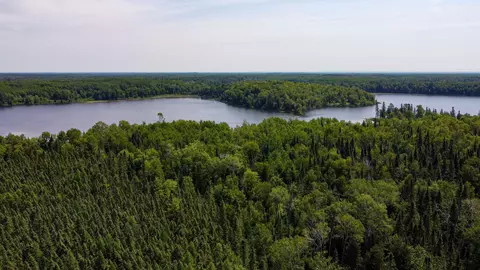 tbd Buckman Lake Rd, Balsam Twp, MN 55716
