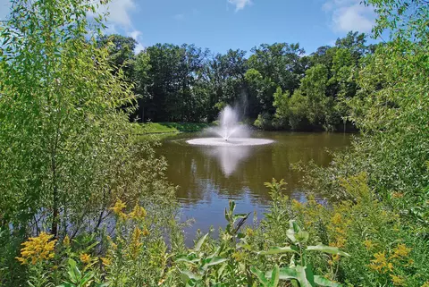 2851 Timberview Trl, Chaska, MN 55318 photo 73