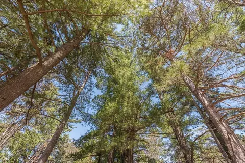 lot5 Telemark Trl, Cushing, MN 56443