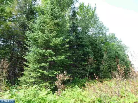 tbd W Flaim Rd, Tower, MN 55790 photo 2