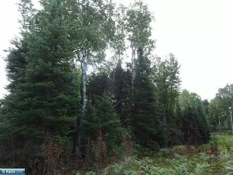 tbd W Flaim Rd, Tower, MN 55790 photo 4