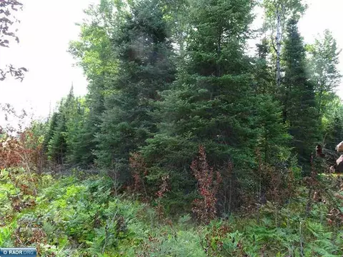 tbd W Flaim Rd, Tower, MN 55790 photo 3
