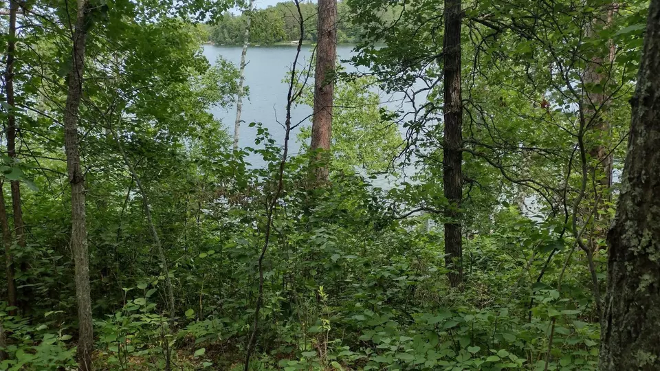  Lot 25 Ginger Road, Park Rapids, MN 56470 photo 16