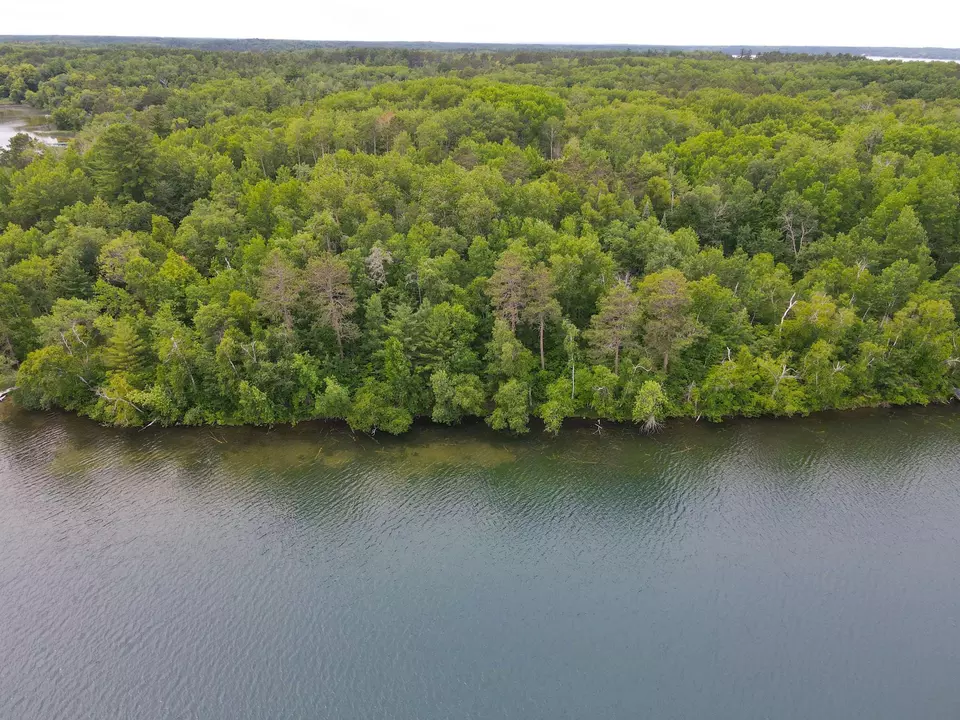  Lot 25 Ginger Road, Park Rapids, MN 56470 photo 11