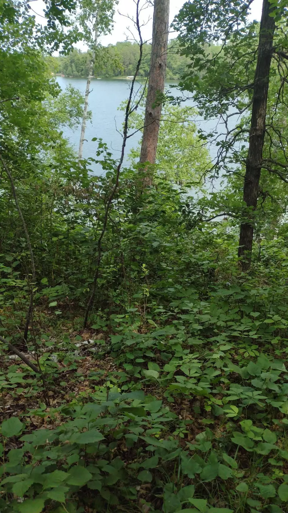  Lot 25 Ginger Road, Park Rapids, MN 56470 photo 15