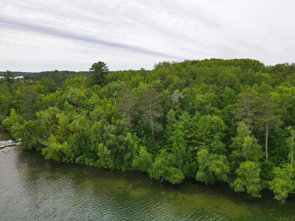  Lot 25 Ginger Road, Park Rapids, MN 56470 photo 7