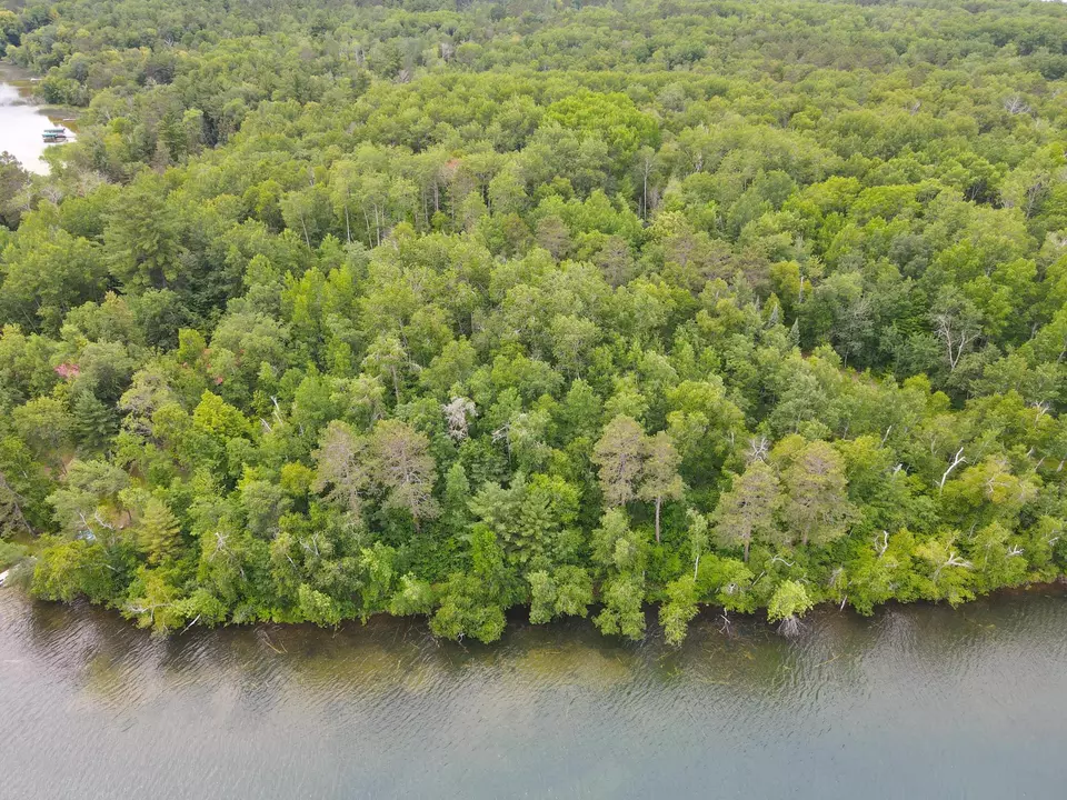  Lot 25 Ginger Road, Park Rapids, MN 56470 photo 10