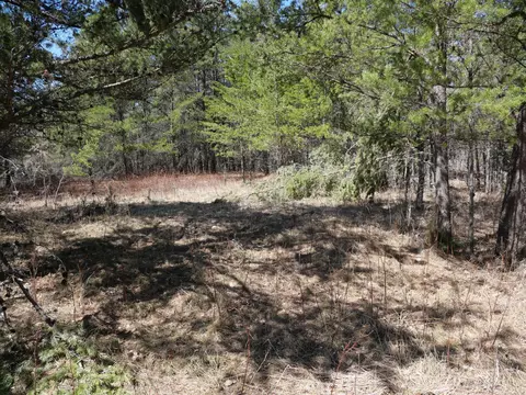 Tbd 239th Avenue, Nevis Twp, MN 56467