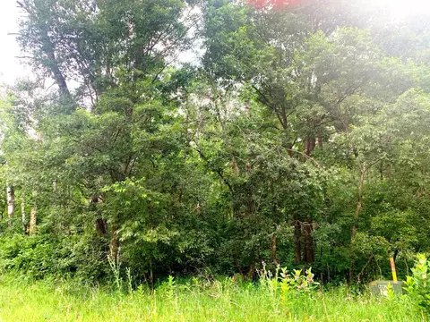 Nnn Snowflake Circle, Breezy Point, MN 56472