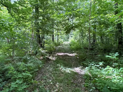 Nn Merlin Road, Dailey Twp, MN 56338