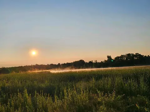 13051 E Pearl Lake Rd, Detroit Lakes, MN 56501