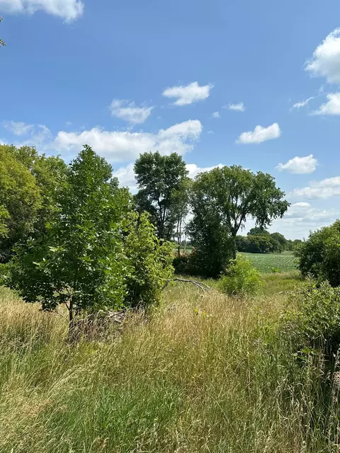 19178 Csah 14, Darwin, MN 55324 photo 14