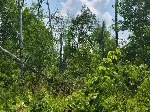 1608 30th St, Turtle Lake, WI 54889