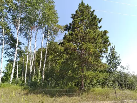 000 65th Ave SW, Motley, MN 56466