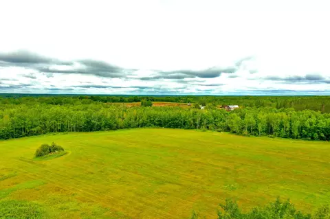 Na Balsam Fir, Bremen Twp, MN 55795
