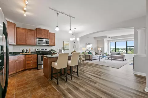 1155 Ford Rd #415, Saint Louis Park, MN 55426