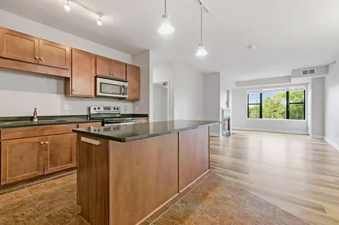 1155 Ford Rd #303, Saint Louis Park, MN 55426