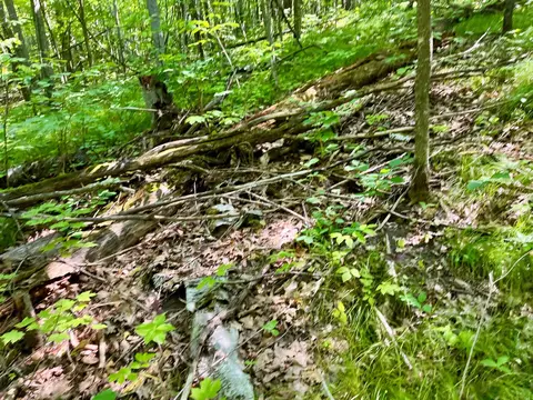 lot2 3 Evergreen Dr NW, Hackensack, MN 56452 photo 7