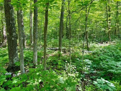 lot2 3 Evergreen Dr NW, Hackensack, MN 56452 photo 18