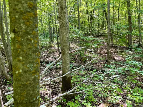 lot2 3 Evergreen Dr NW, Hackensack, MN 56452 photo 10