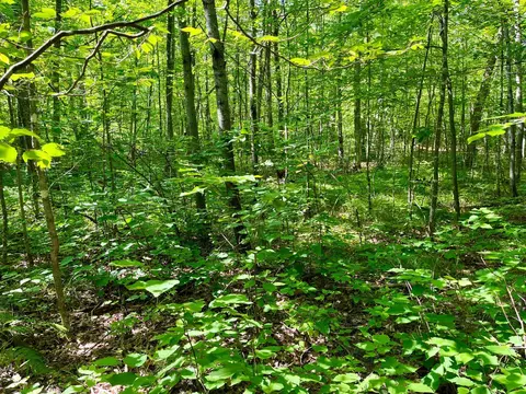 lot2 3 Evergreen Dr NW, Hackensack, MN 56452 photo 9