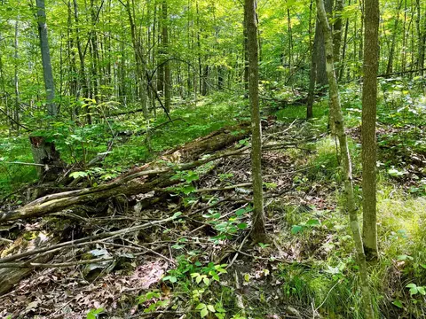 lot2 3 Evergreen Dr NW, Hackensack, MN 56452 photo 13
