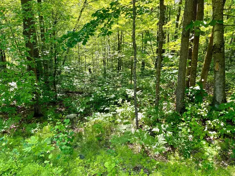 lot2 3 Evergreen Dr NW, Hackensack, MN 56452 photo 11