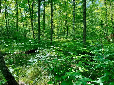 lot2 3 Evergreen Dr NW, Hackensack, MN 56452 photo 14