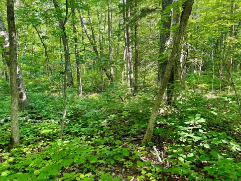 lot2 3 Evergreen Dr NW, Hackensack, MN 56452 photo 4