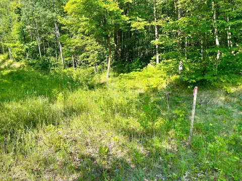 lot2 3 Evergreen Dr NW, Hackensack, MN 56452