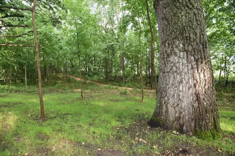 16112 130th Ave, Milaca, MN 56353 photo 61