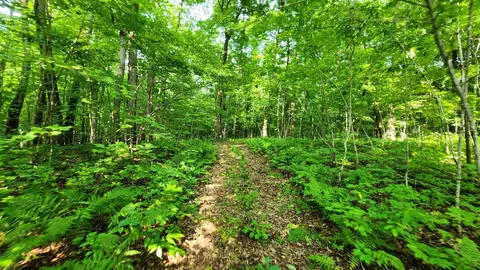 Abc 140th Street, Milltown, WI 54858