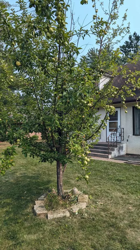 971 Maple Ave E, Mora, MN 55051 photo 17