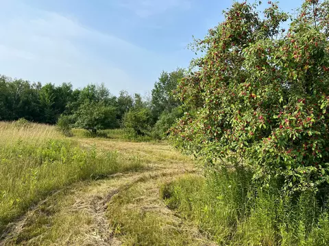 1064 290th Ave, Frederic, WI 54837 photo 11
