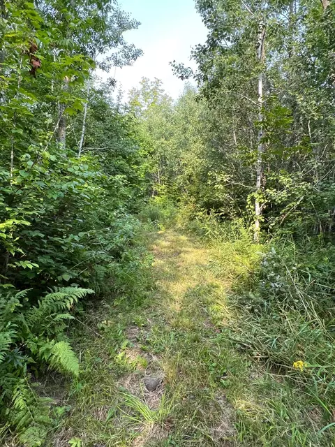 1064 290th Ave, Frederic, WI 54837 photo 21