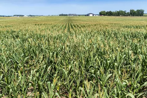 Nnn-44 210th Avenue, Royalton, MN 56373