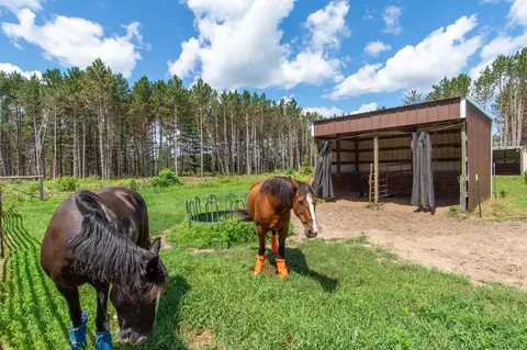 12377 County Road 2, Brainerd, MN 56401 photo 45