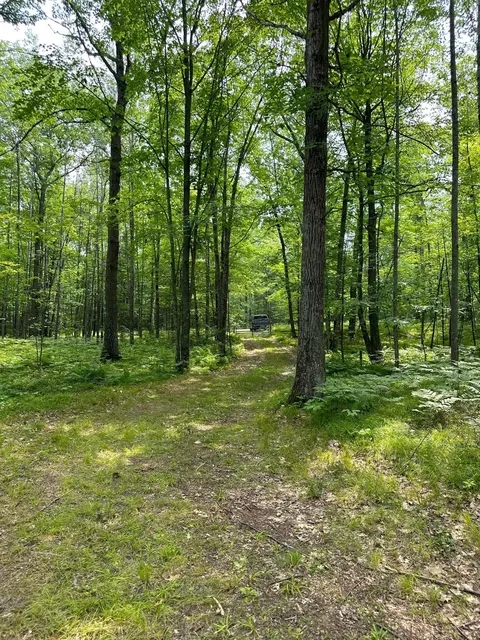 63231 Hannu, Pine Lake Twp, MN 55735