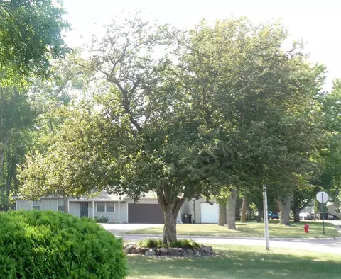 1695 17th St, Windom, MN 56101 photo 57