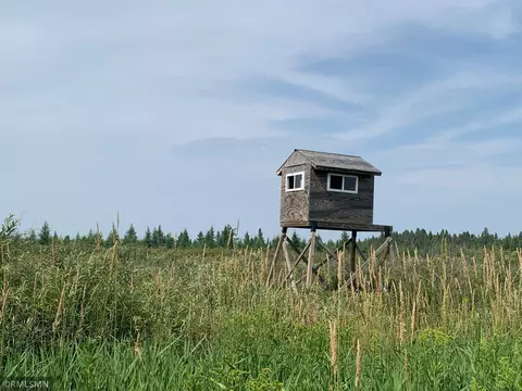 Nnn 460th Lane, Palisade, MN 56469