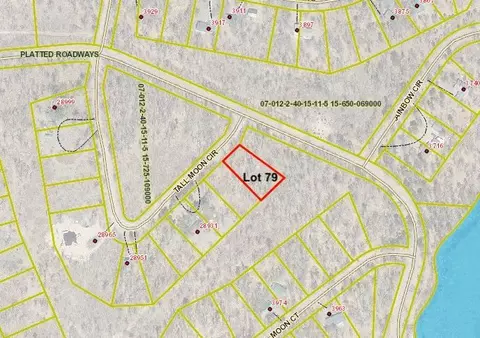 lot79 Tall Moon Cir, Jackson Twp, WI 54830