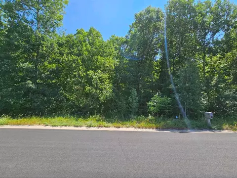 lot73 Roosevelt Ave, Dresser, WI 54009