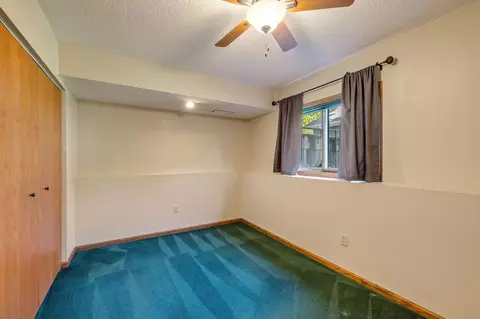 3901 Danbury Trl, Eagan, MN 55123 photo 28